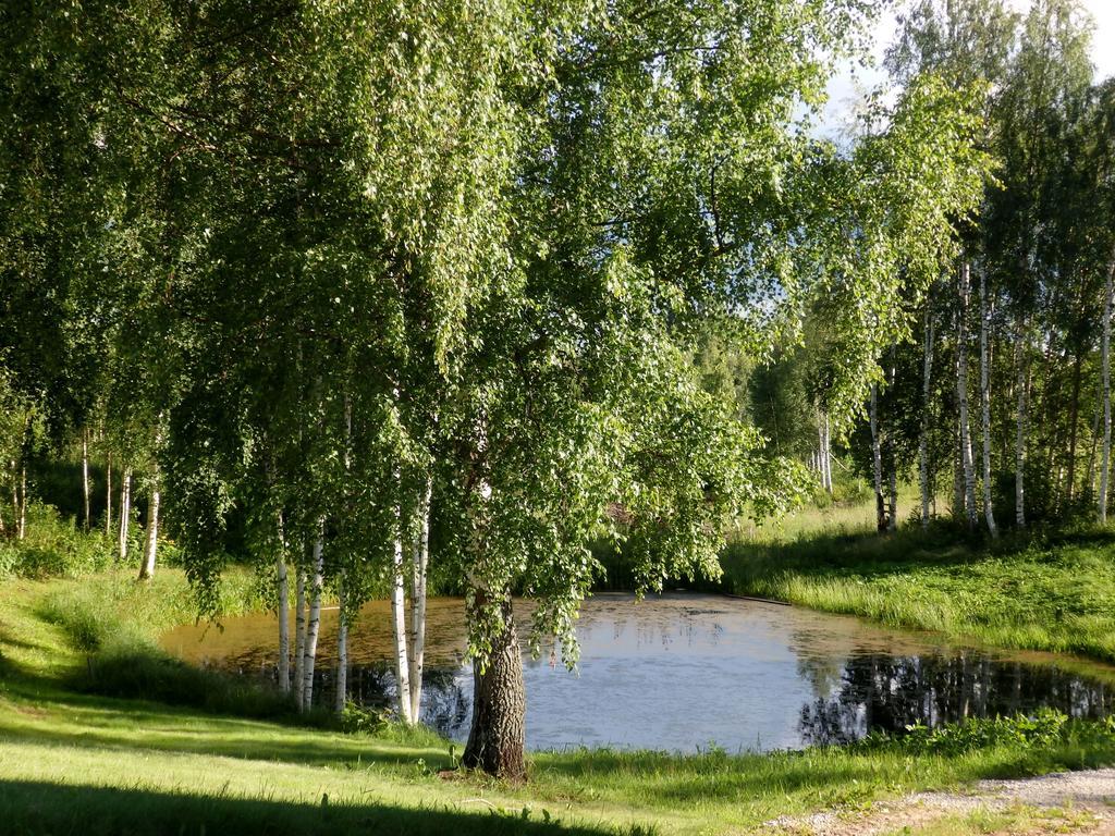 Tigete Holiday Cottage Lootvina Экстерьер фото